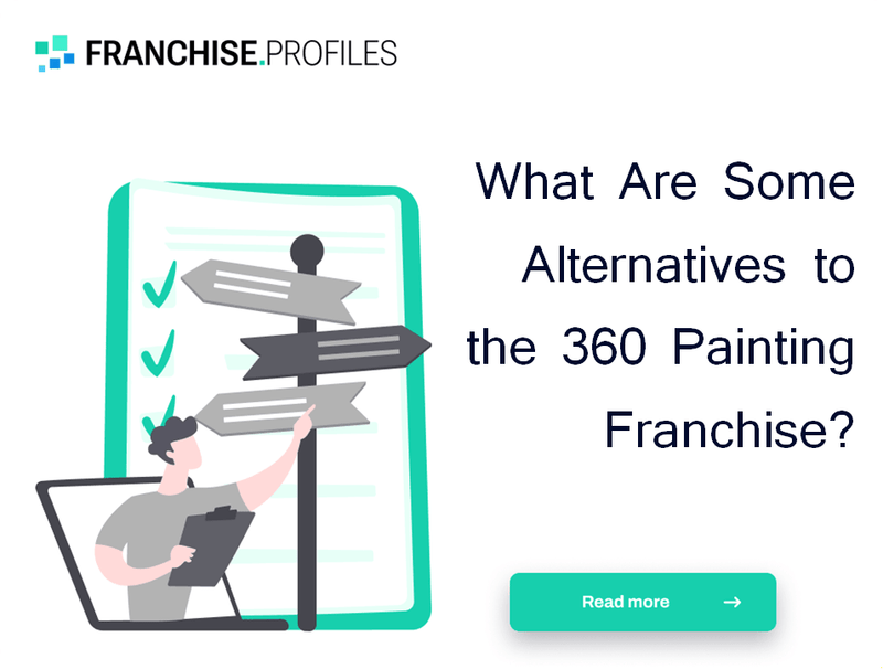 What Are Some Alternatives to the 360 Painting Franchise?