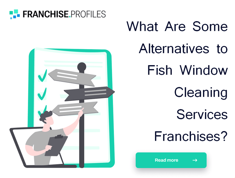 What Are Some Alternatives to Fish Window Cleaning Services Franchises?