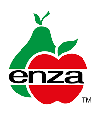 ENZAFRUIT Franchise Pitch Deck Template