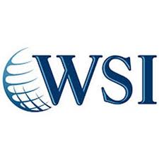 WSI Franchise Profile