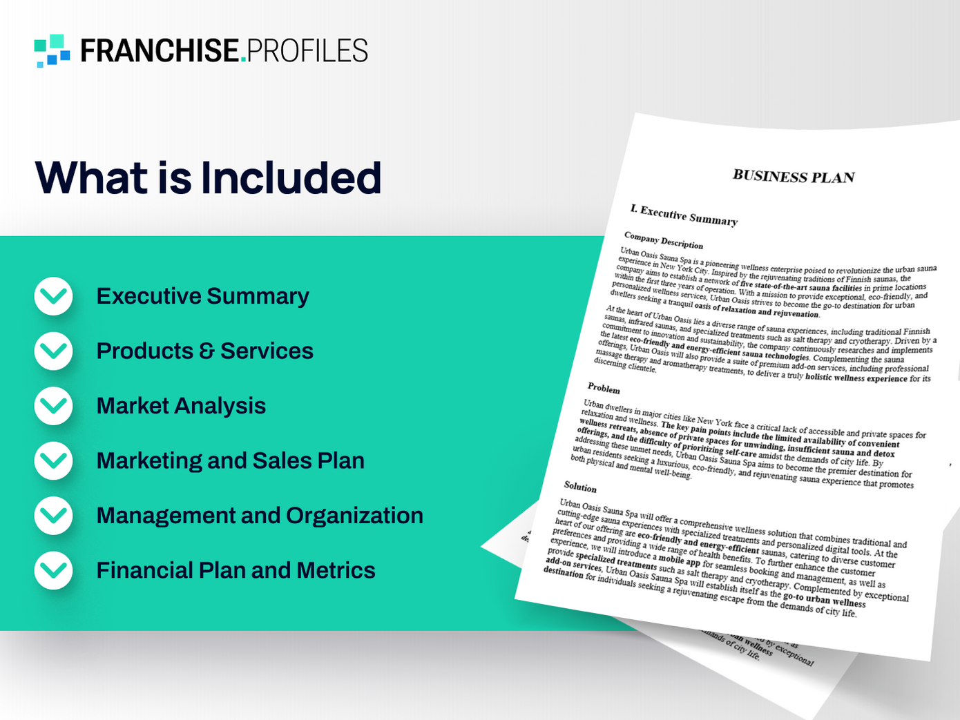 WSI Franchise: What is Included Inside?