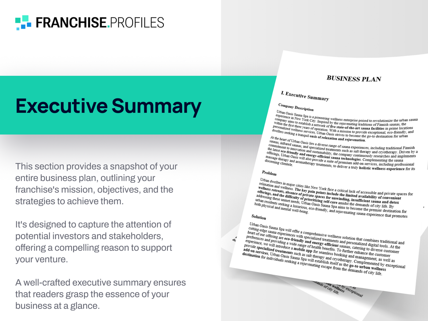 Real Living Real Estate Franchise: Executive Summary