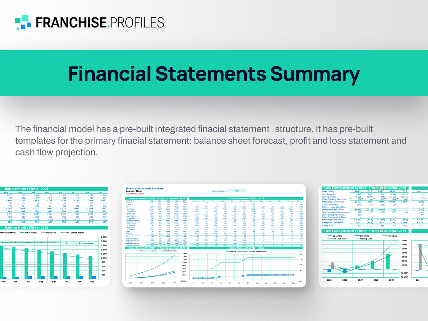 College Pro Painters Franchise: Financial Summary