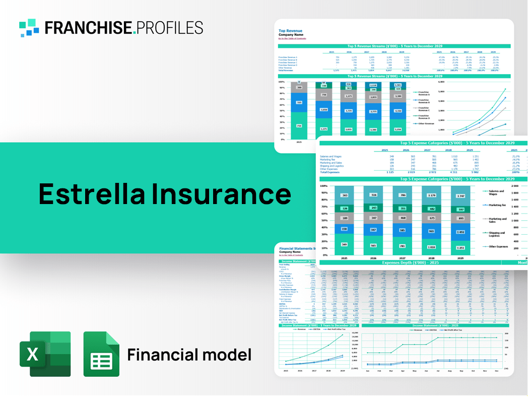 Estrella Insurance Franchise Financial Model Template