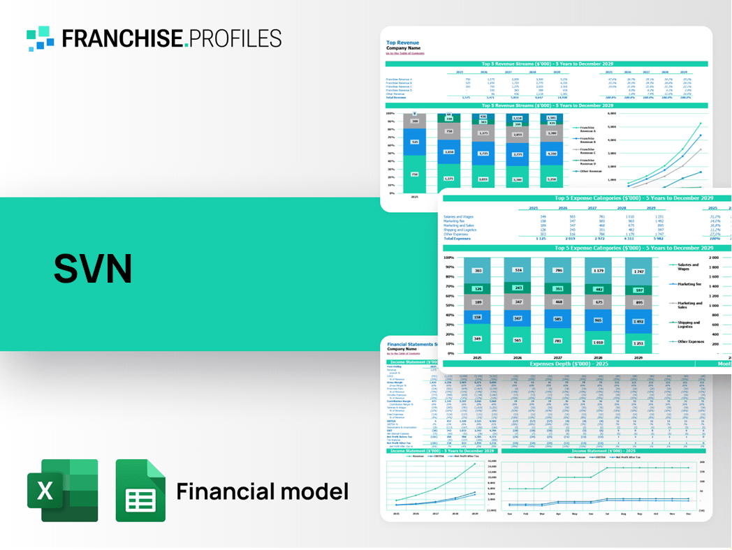 SVN Franchise Financial Model Template